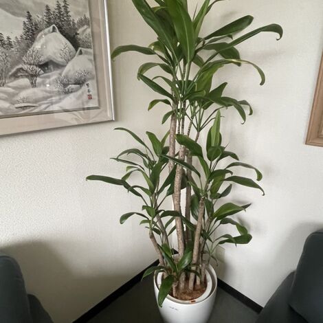 image12[1]