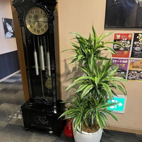 image7[1]